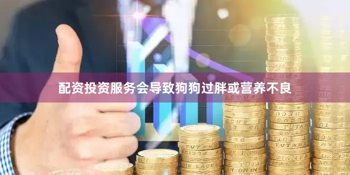 配资投资服务会导致狗狗过胖或营养不良