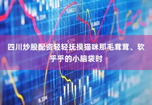 四川炒股配资轻轻抚摸猫咪那毛茸茸、软乎乎的小脑袋时