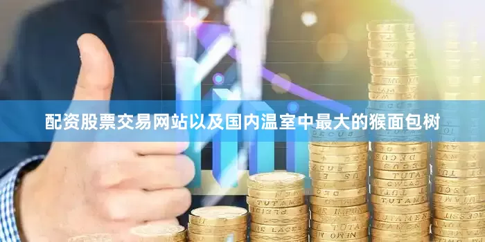 配资股票交易网站以及国内温室中最大的猴面包树