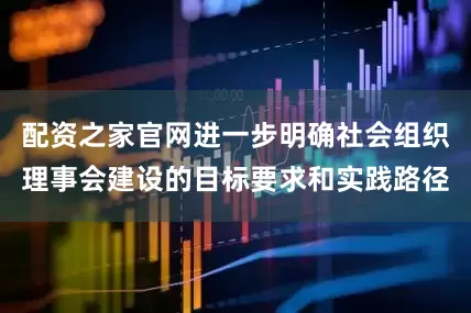 配资之家官网进一步明确社会组织理事会建设的目标要求和实践路径